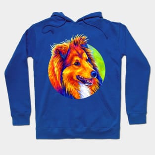 Colorful Rainbow Sheltie Dog Hoodie